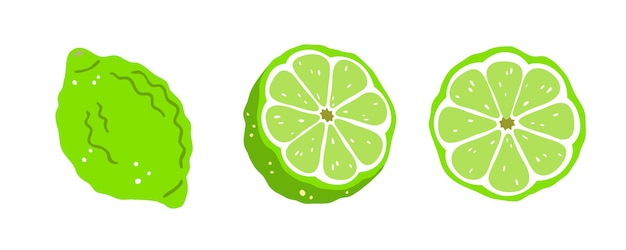 Conjunto de tres limones sobre un fondo blanco. Ilustración vectorial