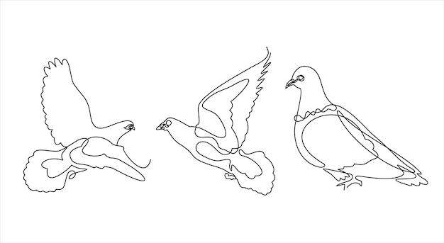 Un conjunto de tres palomas, un esquema gráfico. ilustración vectorial