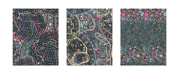 Vector conjunto de tres patrones orgánicos abstractos coloridos sin costuras vectoriales fondos abstractos en estilo biológico plantas de imagen macro ampliadas bajo un microscopio