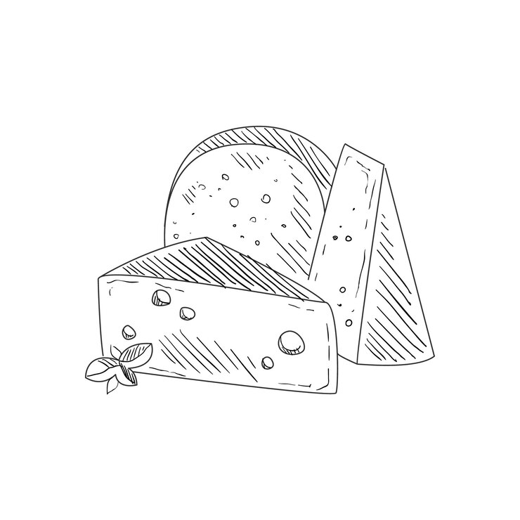 Vector conjunto de tres quesos diferentes dibujo realista dibujado a mano