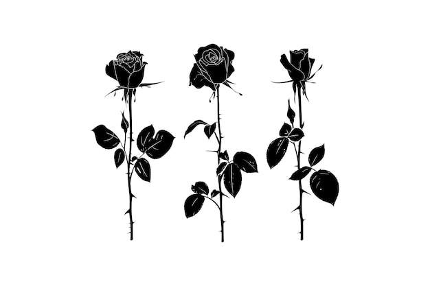 Conjunto de tres siluetas de rosas negras diseño de ilustración vectorial