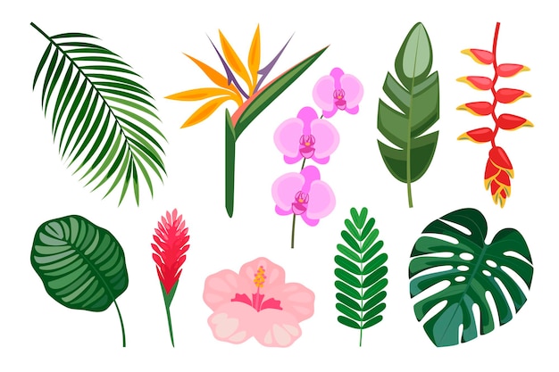 Vector conjunto tropical de flores y hojas dibujadas a mano