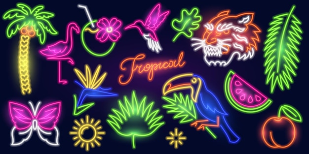 Conjunto tropical de señales de neón de moda noche letrero brillante pancarta de luz brillante estandarte logotipo de verano para