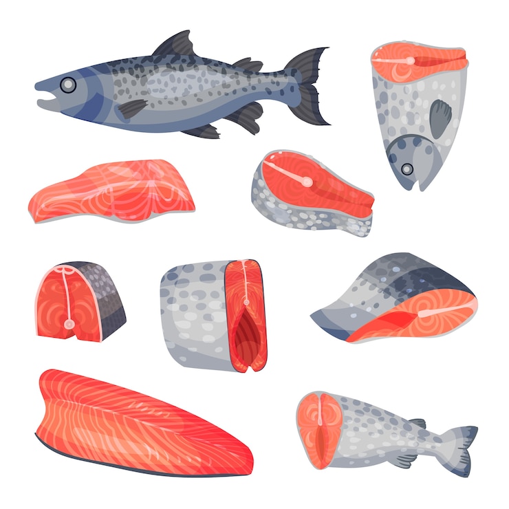 Vector conjunto de trozos y filetes de pescado salmón rojo en rodajas