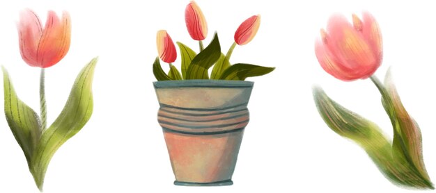 Conjunto de tulipanes de primavera acuarela