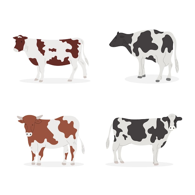 Conjunto de vacas de dibujos animados.