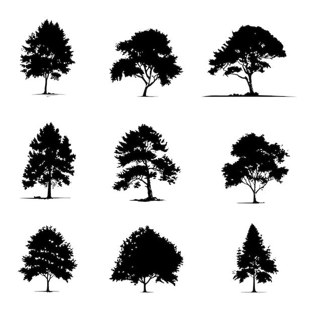 Conjunto de variación de siluetas de árboles y bosques grandes vectoriales