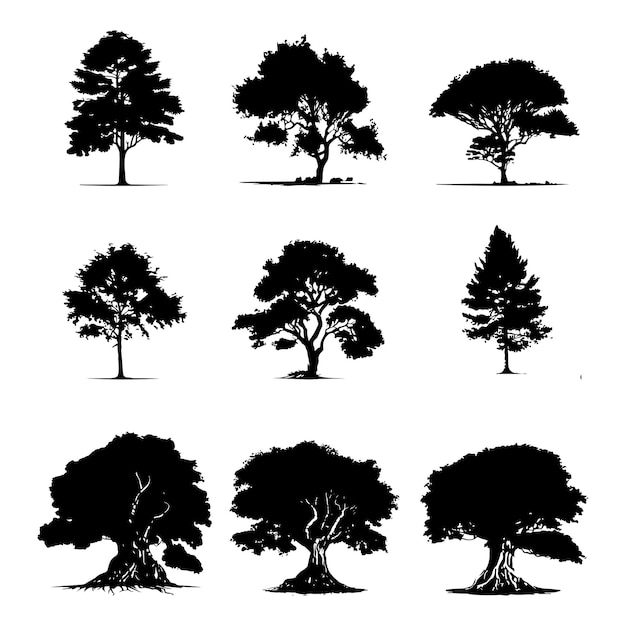 Conjunto de variación de siluetas de árboles y bosques grandes vectoriales