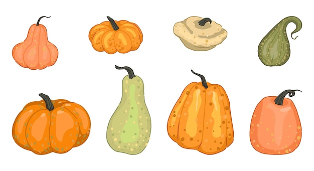 Conjunto de varias calabazas calabaza tuétano vegetal Ilustraciones vectoriales de la cosecha de la temporada de otoño Artes de clip de estilo de dibujos animados aisladas en blanco