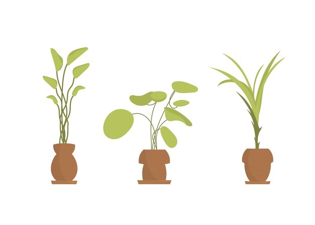 Conjunto de varias plantas de interior Estilo plano aislado