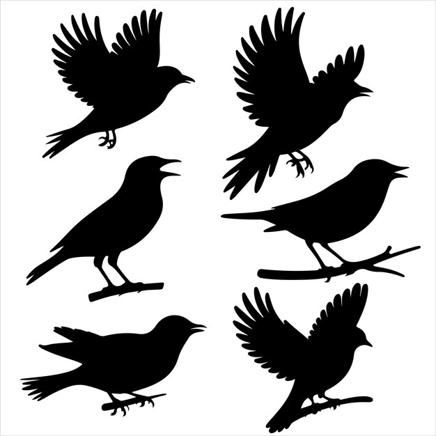 conjunto de varias siluetas de aves negras para recursos gráficos