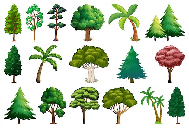Conjunto de variedad de plantas y árboles.
