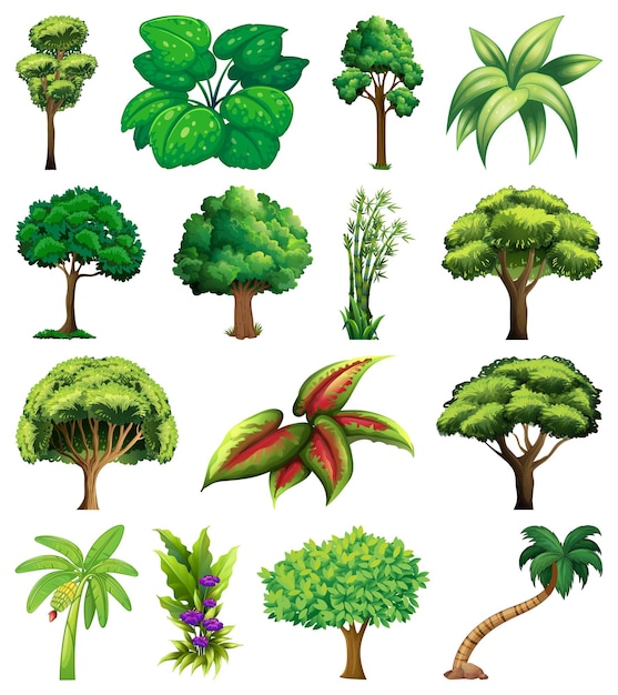 Conjunto de variedad de plantas y árboles.