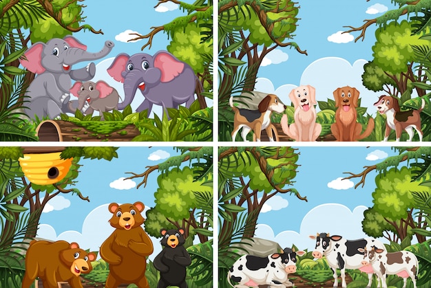 Vector conjunto de varios animales en escenas de la naturaleza.