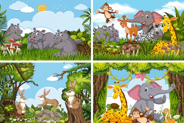 Conjunto de varios animales en escenas de la naturaleza.