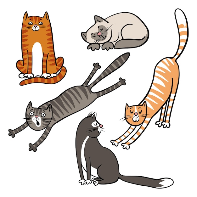 Un conjunto de varios gatos