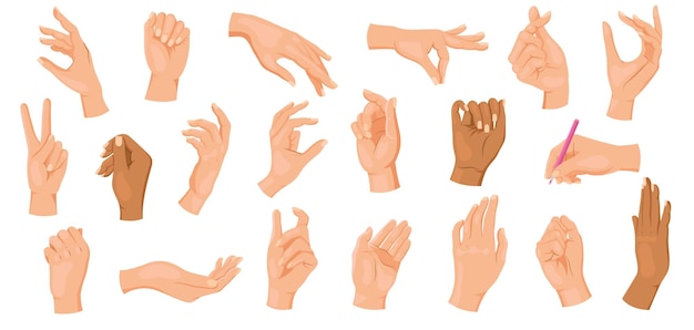 Conjunto de varios gestos y posiciones de la mano en una ilustración vectorial de estilo plano
