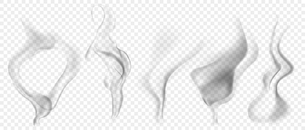 Conjunto de varios humos grises transparentes realistas o vapor para usar en fondo claro Transparencia solo en formato vectorial