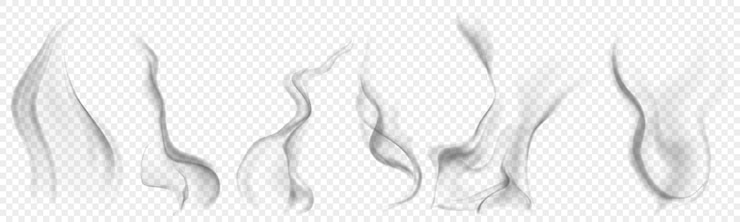 Vector conjunto de varios humos grises transparentes realistas o vapor para usar en fondo claro transparencia solo en formato vectorial