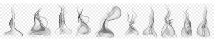 Vector conjunto de varios humos o vapores transparentes realistas en colores blanco y gris, para usar en un fondo claro. transparencia solo en formato vectorial