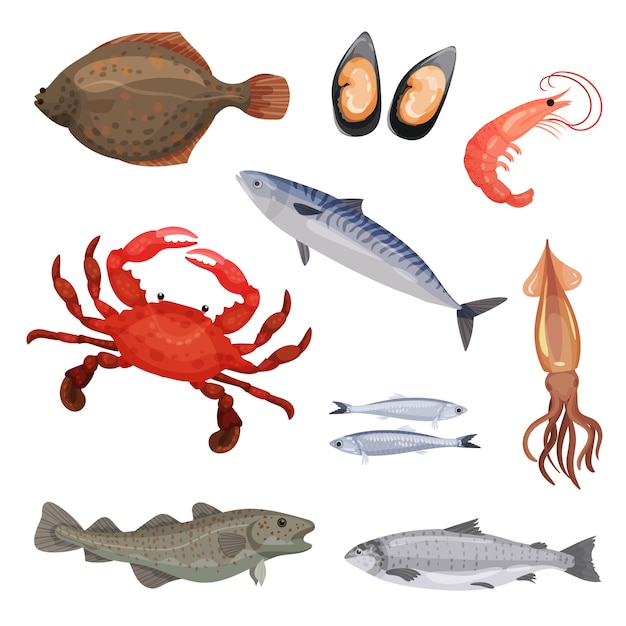 Conjunto de varios mariscos. Pescado, cangrejo y moluscos. Animales marinos. Criaturas del mar. Iconos detallados