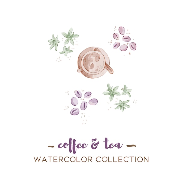 Conjunto de vector de acuarela de colección de ilustración de frijoles de tazas de té de café