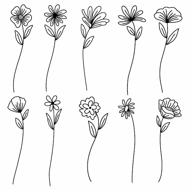 Conjunto de vector de arte de línea de flores silvestres