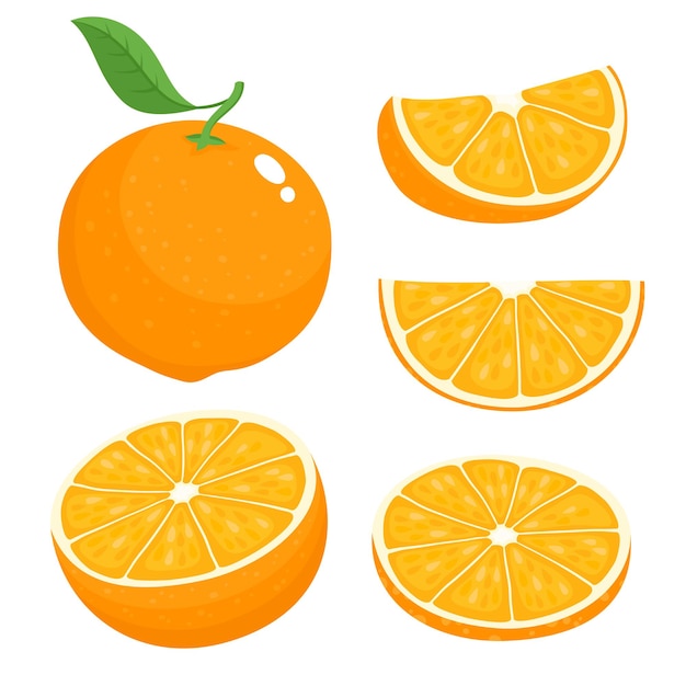 Conjunto de vector brillante de medio colorido, rebanada y segmento de jugosa naranja. naranjas frescas de dibujos animados sobre fondo blanco.