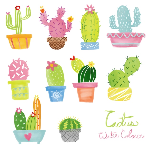 Conjunto de vector de cactus de acuarela en colores pastel