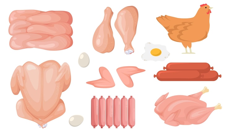 Vector conjunto de vector de carne cruda fresca de pollo de dibujos animados