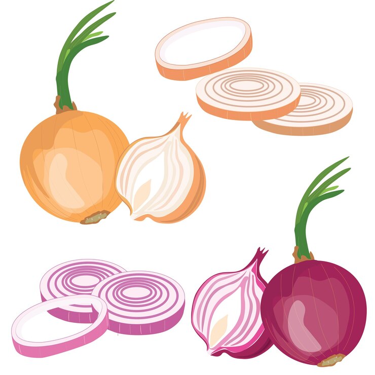 Vector conjunto de vector de cebolla cebolla roja con brotes hoja cebolla anillo cebolla rebanada vector plano aislado