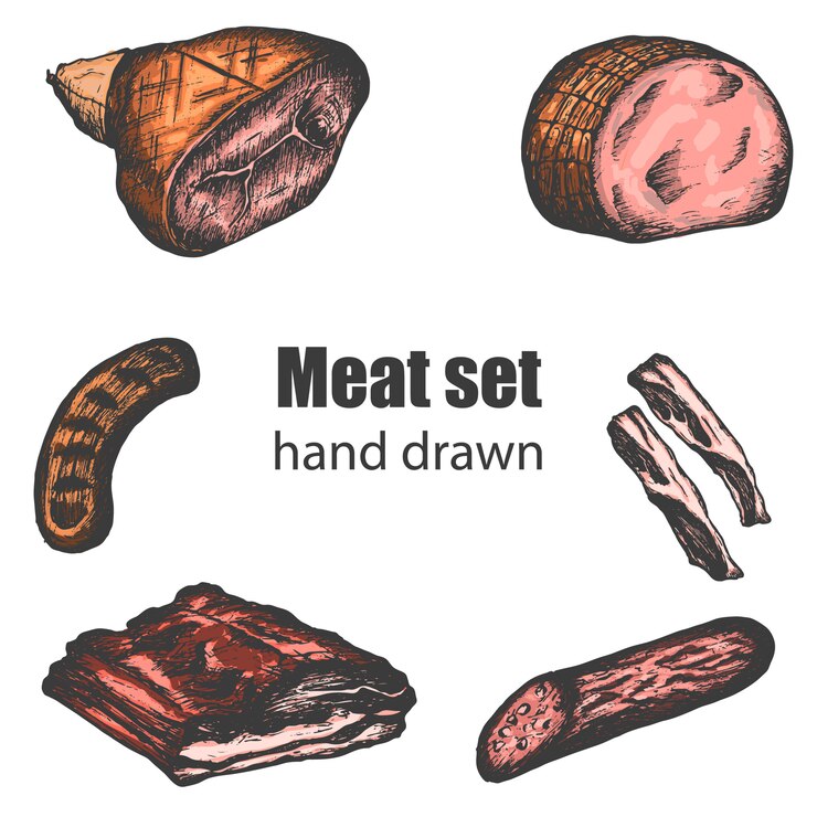 Conjunto de vector dibujado a mano de jamón, tocino, salchicha y salami, elementos de diseño color vintage.