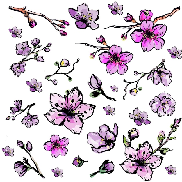 Conjunto de vector de flor de Sakura de mano libre Hermosa línea de arte Peach blossom aislar sobre fondo blanco