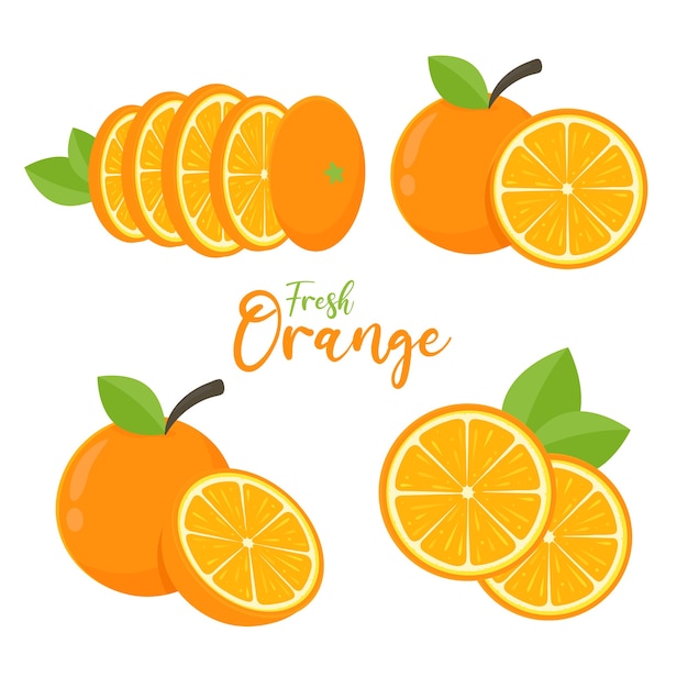 Conjunto de vector de fruta naranja Naranja cortada por la mitad con hojas verdes para un jugo saludable.