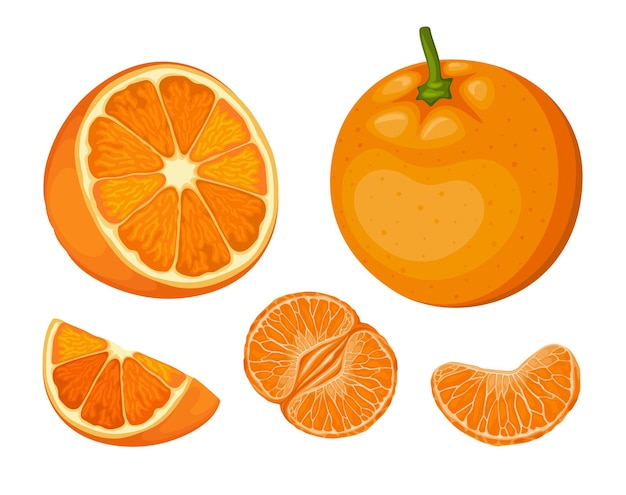 Conjunto de vector de fruta naranja