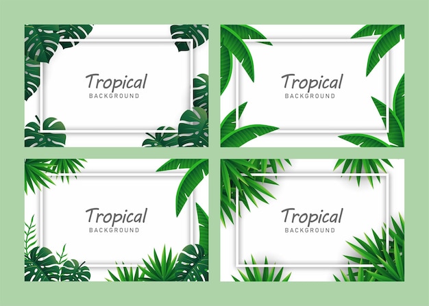 Conjunto de vector de ilustración de fondo tropical