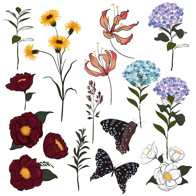 Conjunto de vector jardín botánico vector de flores y mariposas