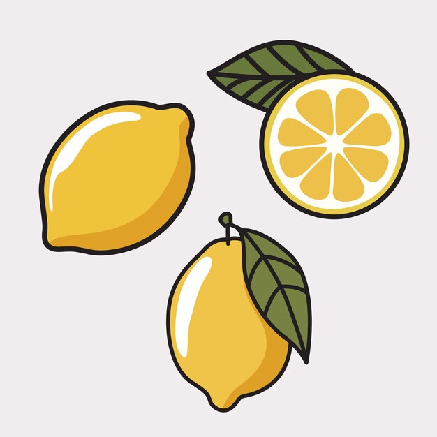 Conjunto de vector de limón minimalista Ilustraciones frescas y estéticas de cítricos