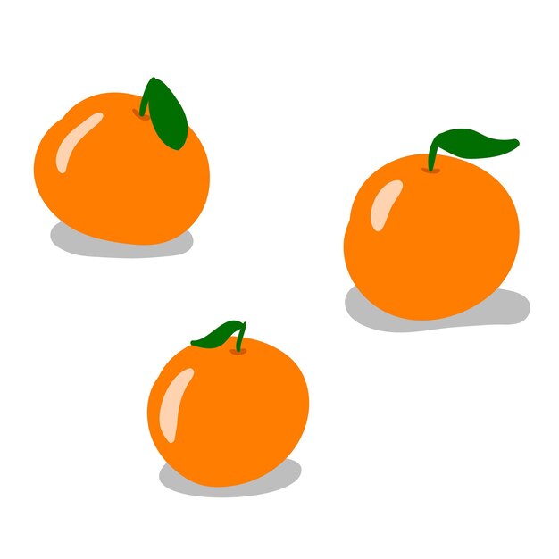 conjunto, de, vector, naranjas, entero, naranja, verde, hojas, mano, dibujado, conjunto, de, naranjas