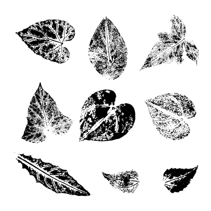 Vector conjunto de vector de plantilla de elemento de ilustración de impresión de tinta de hojas