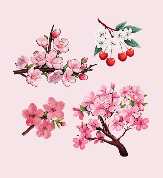 Vector conjunto de vector de ramas de flores de cerezo acuarela diseño de flores de cerezo