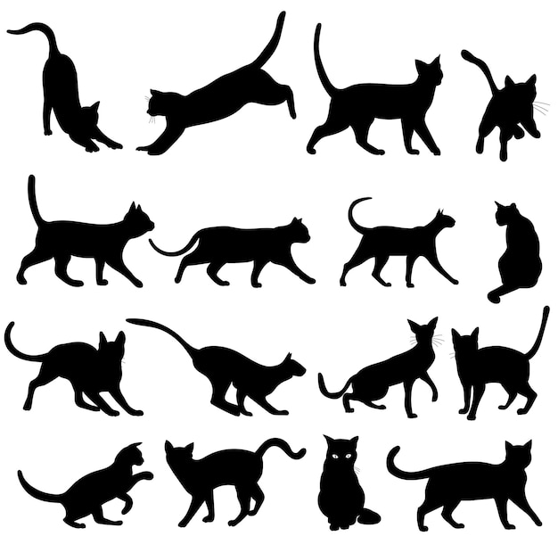Conjunto de vector de silueta negra de gatos, aislado
