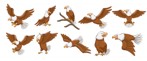 Conjunto de vectores de águila