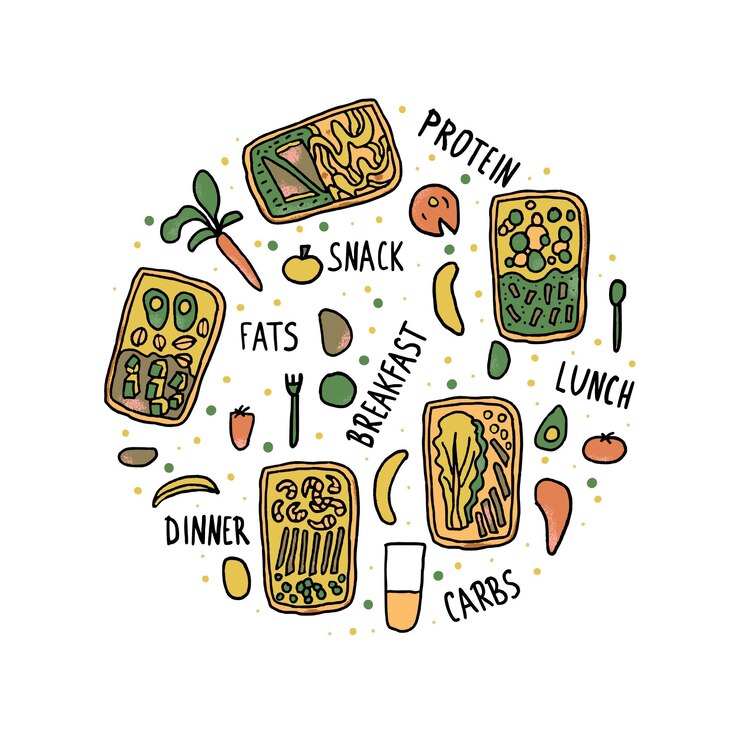 Conjunto de vectores de alimentos saludables Cajas de almuerzo con comida