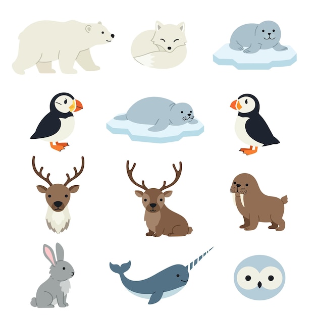Conjunto de vectores de animales del Ártico