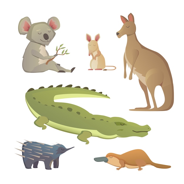 Conjunto de vectores animales de dibujos animados aislados. La fauna de la ilustración de Australia.