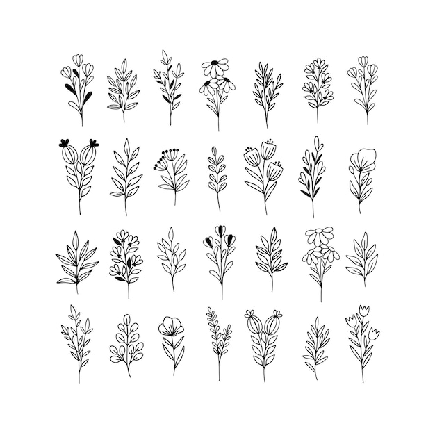 Conjunto de vectores de arte de línea de flores silvestres.