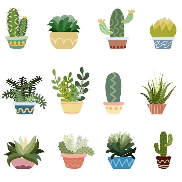 Conjunto de vectores de cactus en macetas