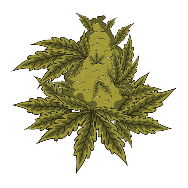 Vector conjunto de vectores de cannabis