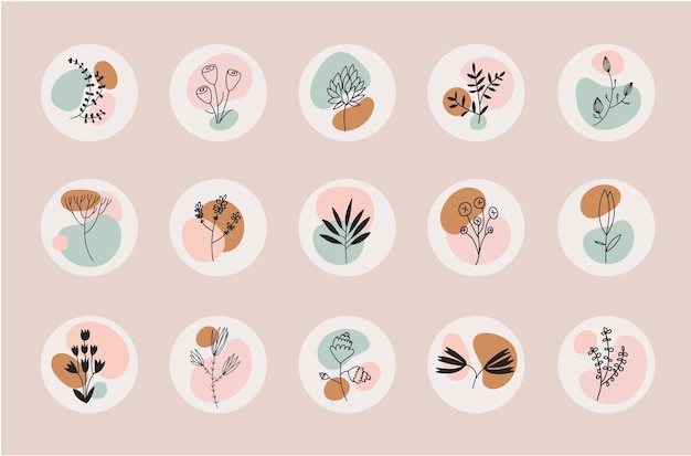 Conjunto de vectores de composiciones florales abstractas Plantillas de historias de la naturaleza bohemia logotipos destacados de la red social Formas orgánicas fluidas colores neutros Estampados de hojas bohemias